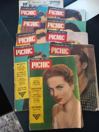Lote revista femenina picnic