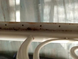 Camas extensibles Minnen Ikea