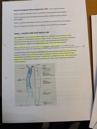 Apuntes Fisioterapia Neurologica