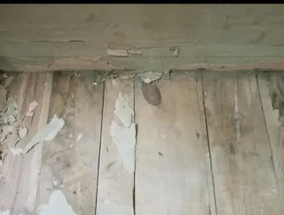 Baúl antiguo madera y metal para restaurar