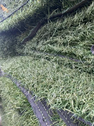 Césped artificial económico