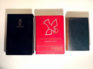 Lote 2 Biblias Católicas