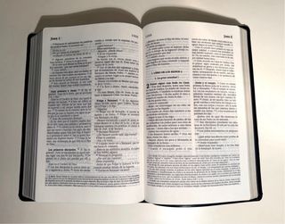 Lote 2 Biblias Católicas