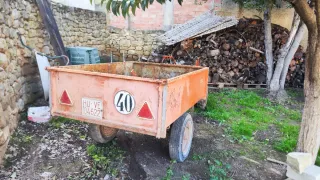 Motocultor PIVA M10 con remolque