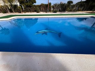 Chalet en venta en Dolores