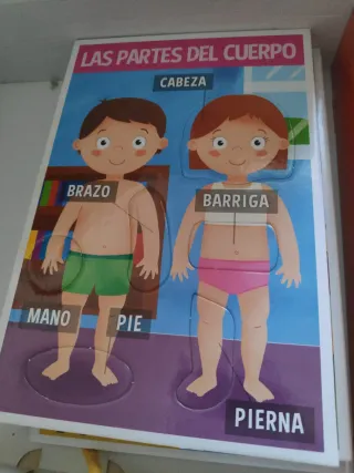 Juego Montessori Cuerpo Humano 3-5 años