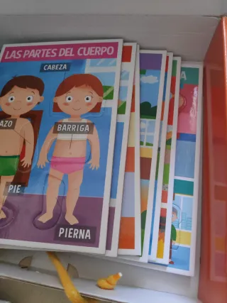 Juego Montessori Cuerpo Humano 3-5 años