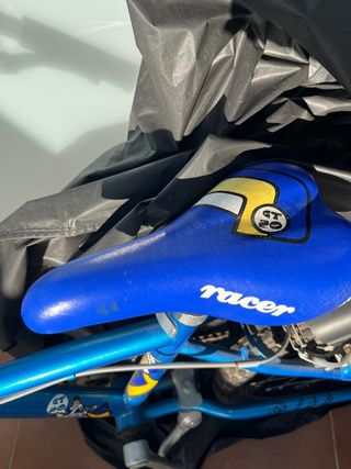 Bicicleta infantil azul