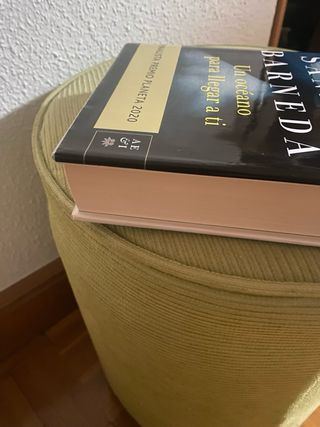 Un océano para llegar a ti: Finalista Premio Pl...