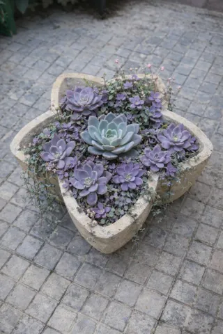 Maceta de piedra con suculentas