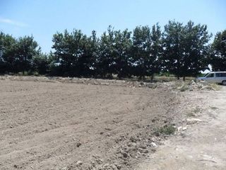 Terreno en venta en San Fulgencio