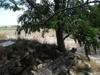 Terreno en venta en San Fulgencio