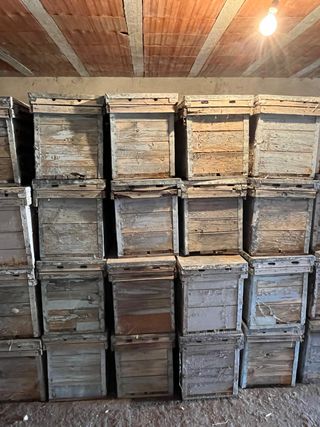 Cajas Colmena Langstroth (46x23cm)