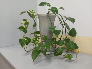 Vaso marmo cimitero grigio