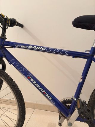 Bicicleta de montaña azul