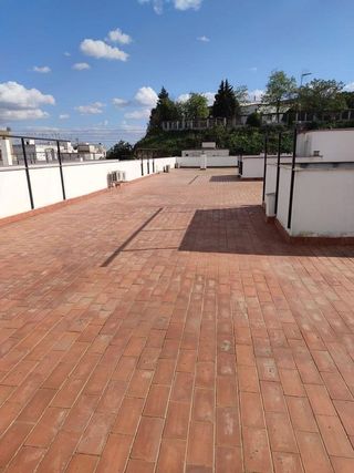 Piso en alquiler en Coria del Río