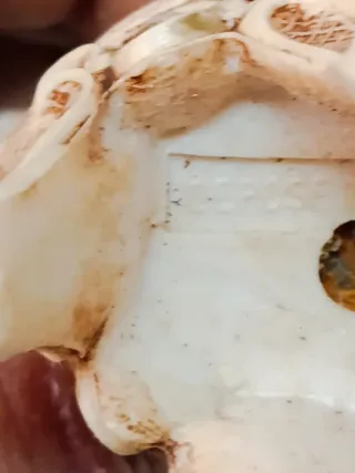 Angelo presepe anni '70 violino