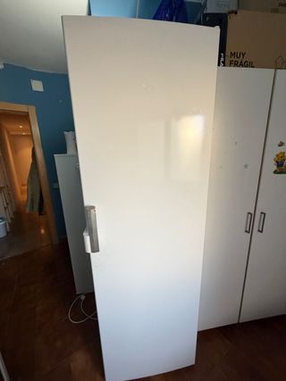 Congelador vertical Balay