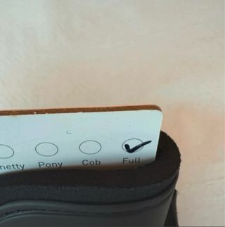 Paratendini per cavalli