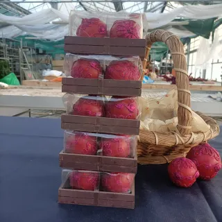 Set 27 Candele Sfere Rosse Glitterate