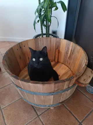 CAMA DE MADERA PARA TUS MASCOTAS