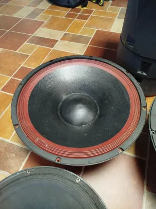 Altavoces profesionales varios tamaños