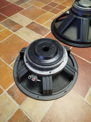 Altavoces profesionales varios tamaños