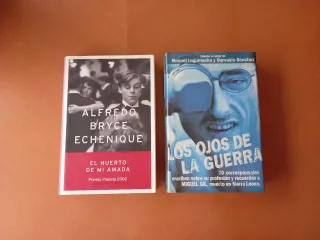 LOTE DE 15 LIBROS