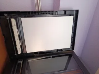 Stampante Epson Office BX300F