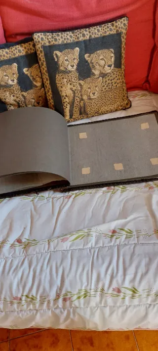 Raro portafotografie pelle anni '40