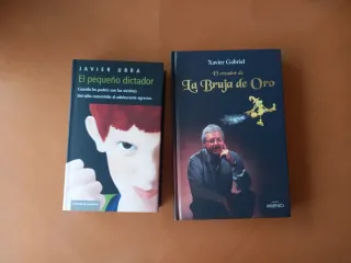 LOTE DE 10 LIBROS