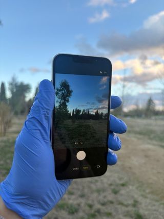 iPhone 13 128GB Blanco