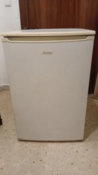 Nevera pequeña frigorífico bluesky