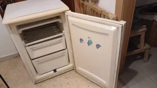 Nevera pequeña frigorífico bluesky