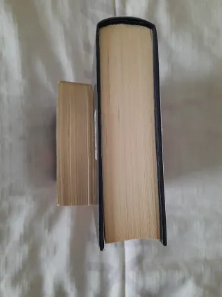 LOTE DE 2 VOLÚMENES DE BÁRBARA WOOD