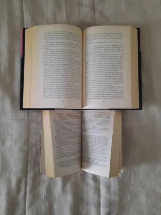 LOTE DE 2 VOLÚMENES DE BÁRBARA WOOD