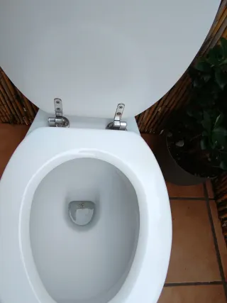 Taza de váter blanca