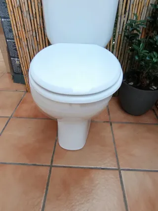 Taza de váter blanca