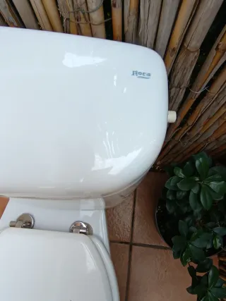 Taza de váter blanca