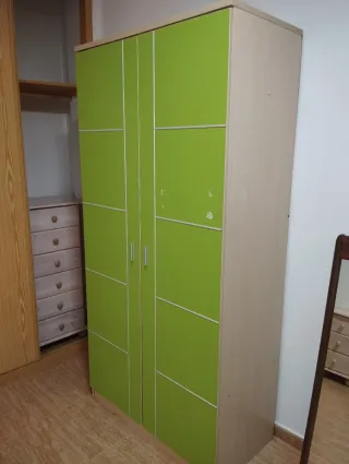 Armario puertas verdes y madera