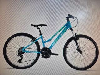 Bicicleta JLWenti 26" Aluminio