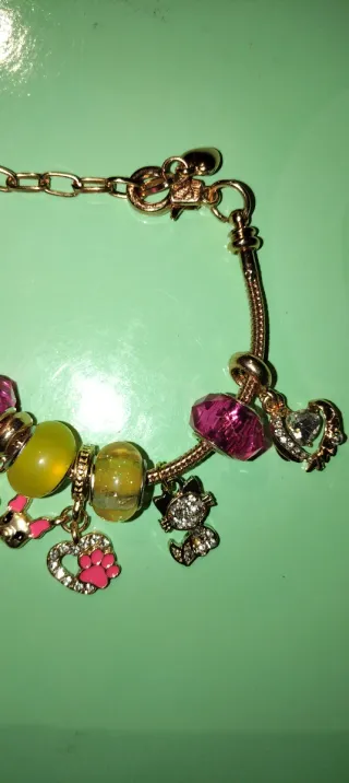 Pulsera ajustable amantes de gatos y perros