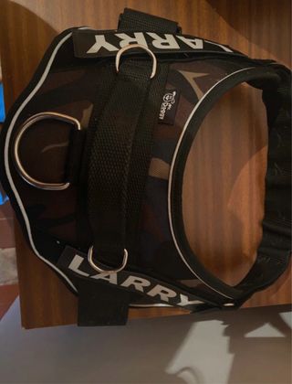Arnes para perro