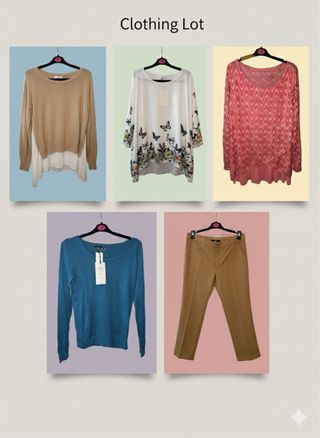 Lote de ropa mujer L/XL