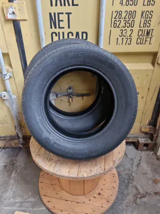 Se vende 2 Neumáticos en perfecto estado