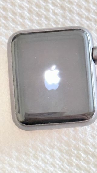 Apple Watch 38mm Serie 1 Plata