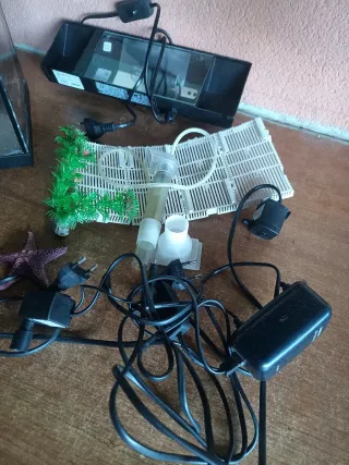 Pecera, Filtro y accesorios para pecera