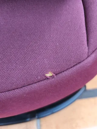 Silla de coche Cybex Pallas 2-fix