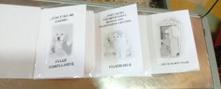 3 Cartoline di Compleanno