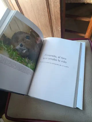 El libro de Toros para todos (Taurología) (Span...